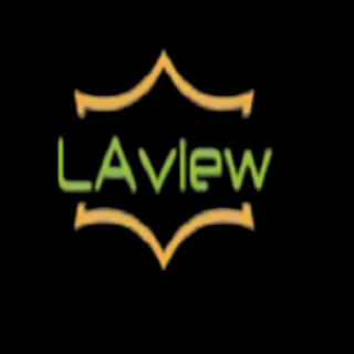 Laview Camera Login